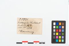 Etikett zu Bronzeperlarmreif (NHMW-PRAE-025331)